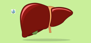 Read more about the article Researchers Discover Crucial Part of Immune Cells in Liver Regeneration   